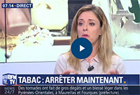 BFM TV > Interview de Cécile Argy : Arrêt du Tabac